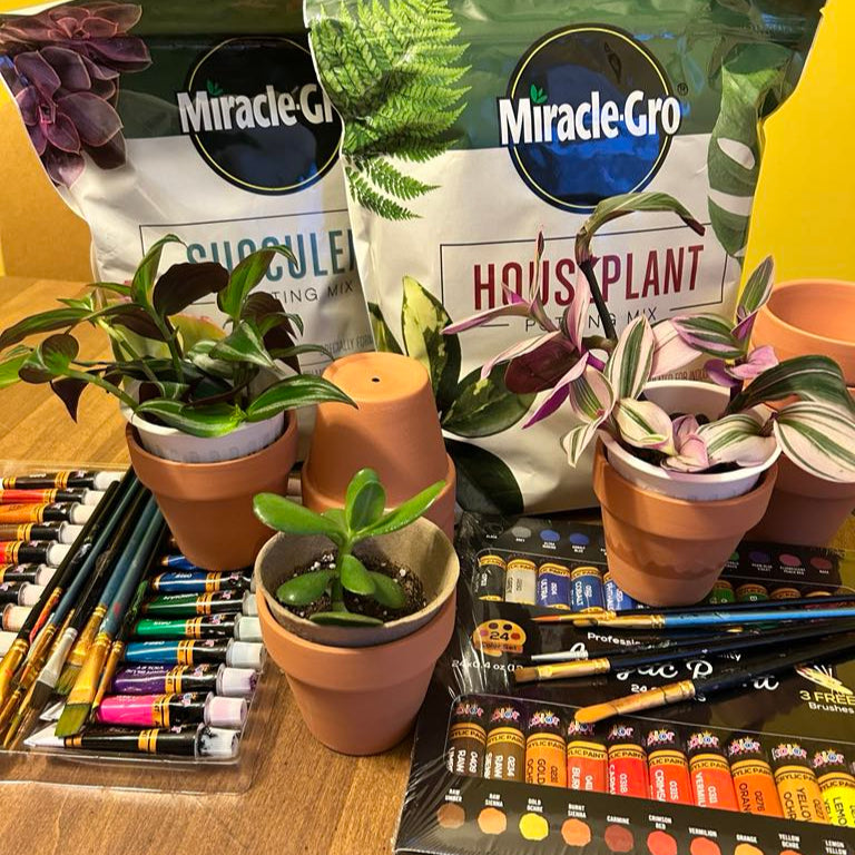Plant & Paint Workshop