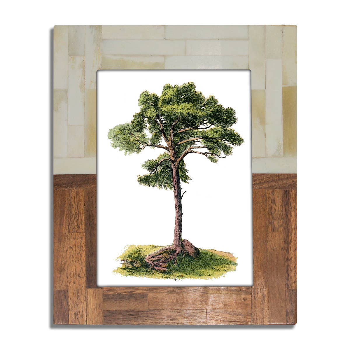 Half Split Wood & Bone Photo Frame