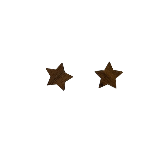 Star Studed Earrings