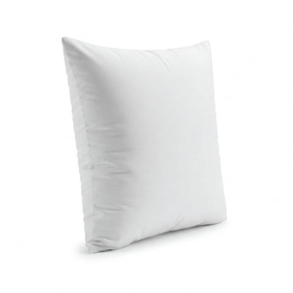 2 Pack of 20" x 20" Down Alternative Throw Pillow Inserts