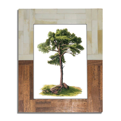 Half Split Wood & Bone Photo Frame