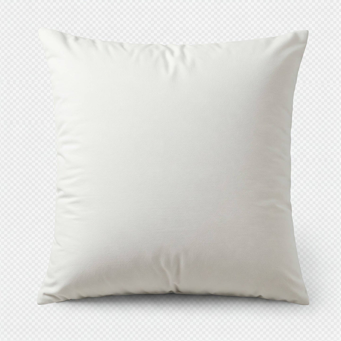 2 Pack of 20" x 20" Down Alternative Throw Pillow Inserts