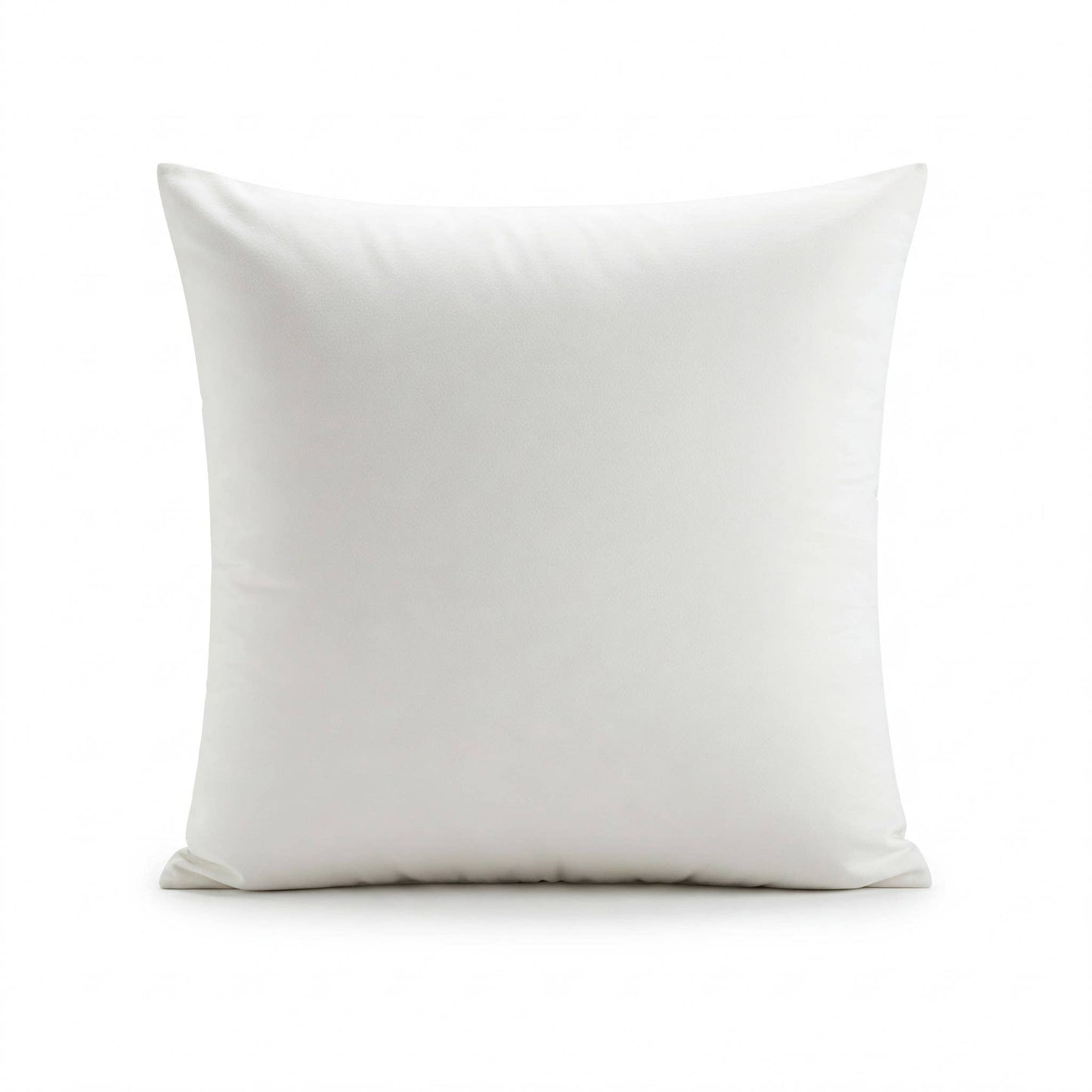 2 Pack of 20" x 20" Down Alternative Throw Pillow Inserts