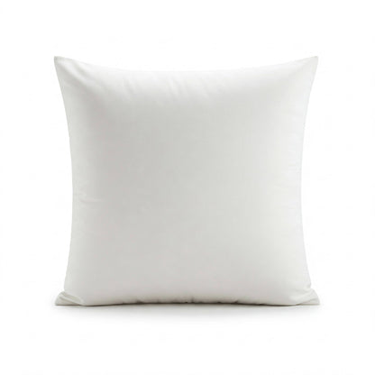 2 Pack of 20" x 20" Down Alternative Throw Pillow Inserts